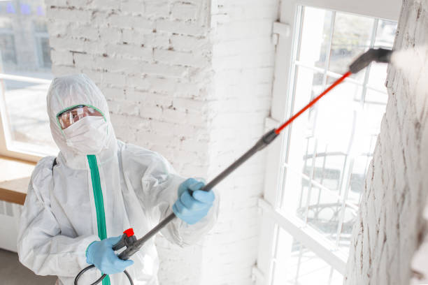 Best Crawl Space Mold Remediation  in Woodland Park, CO