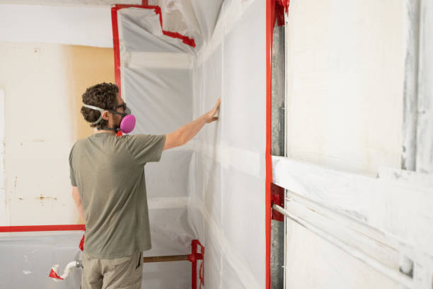 Best Mold Removal for HVAC Installations  in Woodland Park, CO