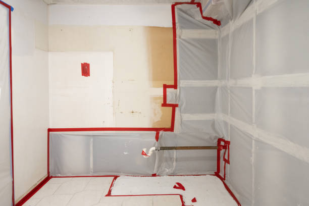 Best Mold Remediation for Rental Properties  in Woodland Park, CO
