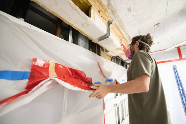 Best Attic Mold Removal  in Woodland Park, CO