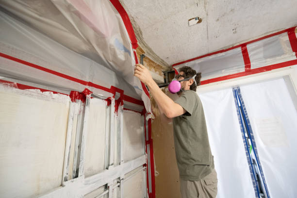 Best Biohazard Mold Removal  in Woodland Park, CO