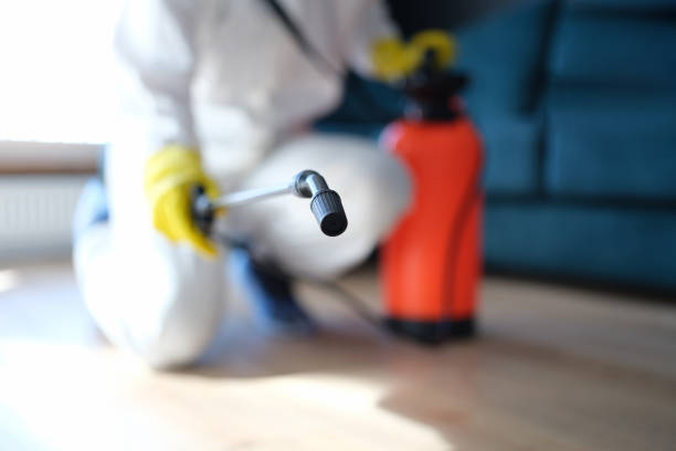 Best Indoor Air Quality Assessment  in Woodland Park, CO