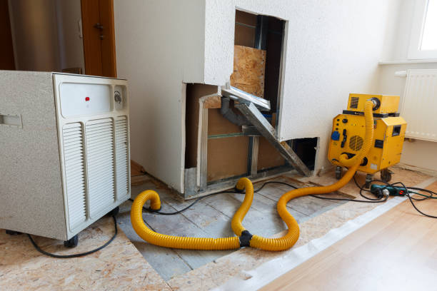 Best Industrial Mold Remediation  in Woodland Park, CO