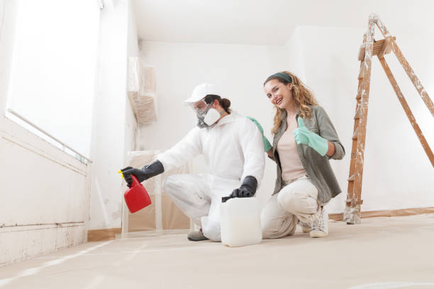 Best Water Damage & Mold Remediation  in Woodland Park, CO